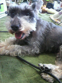 2012032608250000.jpg