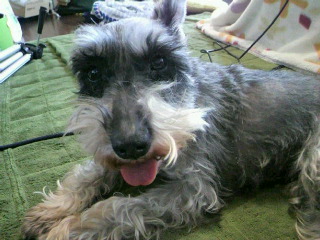 2012032608250001.jpg