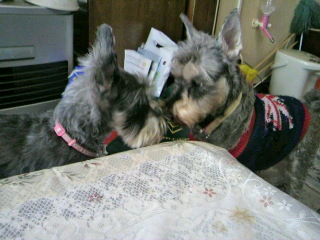 2012040113170001.jpg