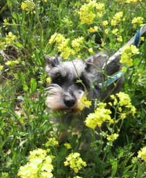 2012040515170001.jpg