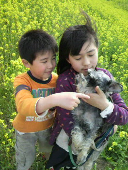 2012040515130000.jpg