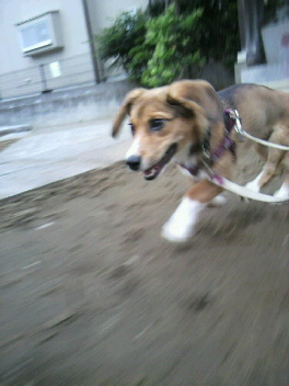 2012053105230001.jpg