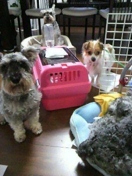 2012072119040000.jpg