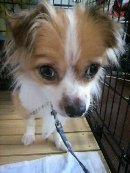 2012072306330000.jpg