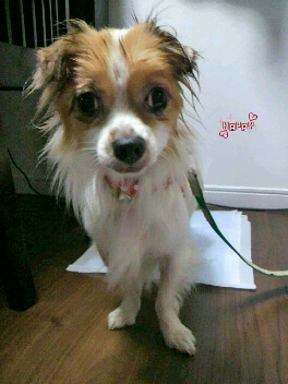 2012072118510000.jpg