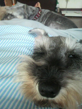 2012080714490000.jpg