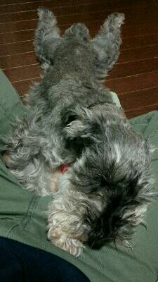 img20130613_074045.jpg