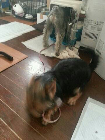 img20140417_194043.jpg