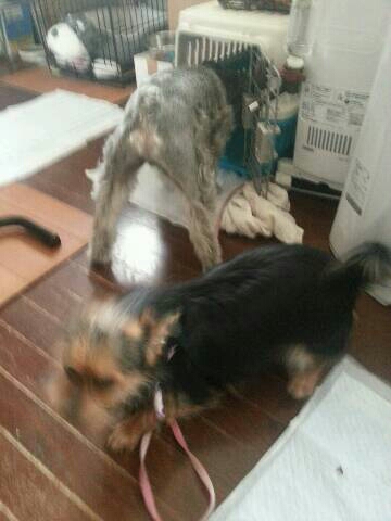 img20140417_193956.jpg
