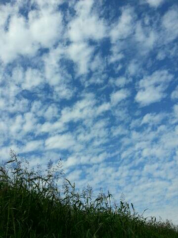 img20141106_114738.jpg