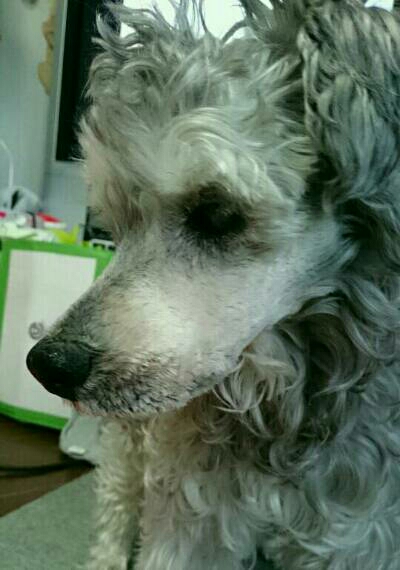 img20170114_163259.jpg