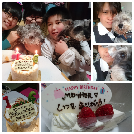 img20170114_163901.png