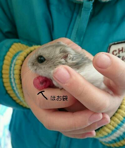 img20170115_140227.jpg
