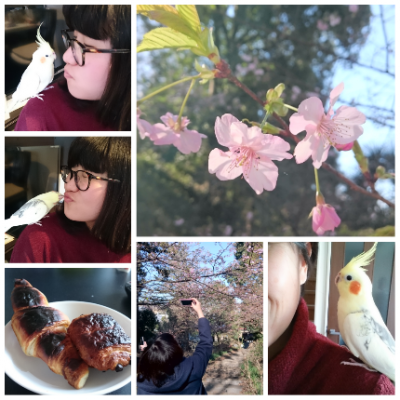 img20170204_160534.png