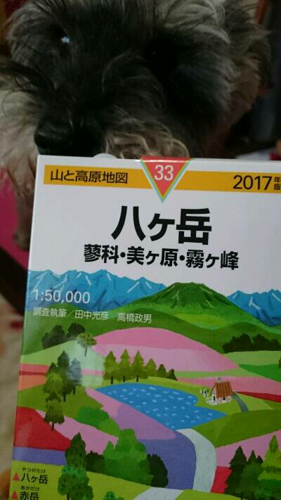 img20170324_213432.jpg