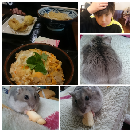 img20170324_213412.png