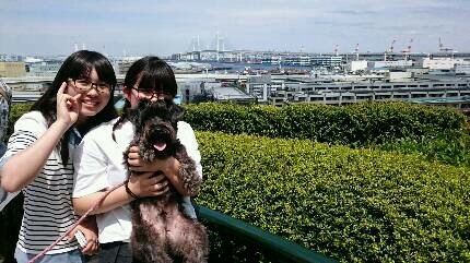 img20170505_081524.jpg