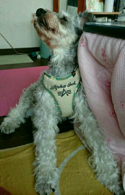 img20170626_180137.jpg