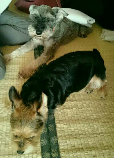 img20170923_090512.jpg