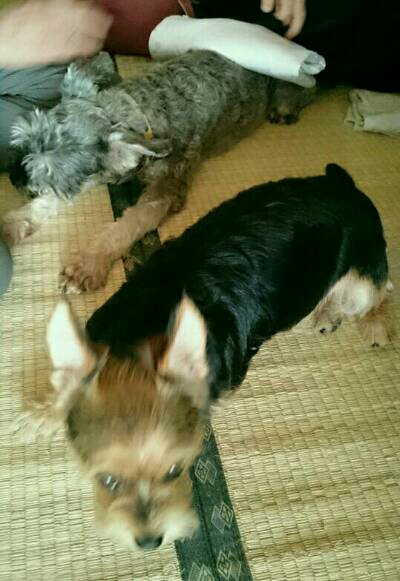 img20170923_090542.jpg