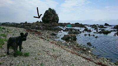 img20180609_164619.jpg
