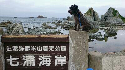 img20180613_110127.jpg