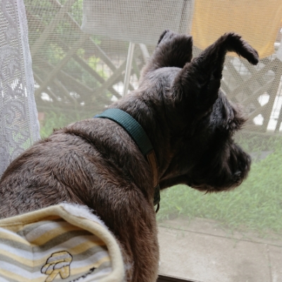 20180901_2074266.jpg
