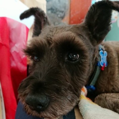 20180901_2074269.jpg