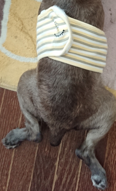 20180902_2075075.jpg
