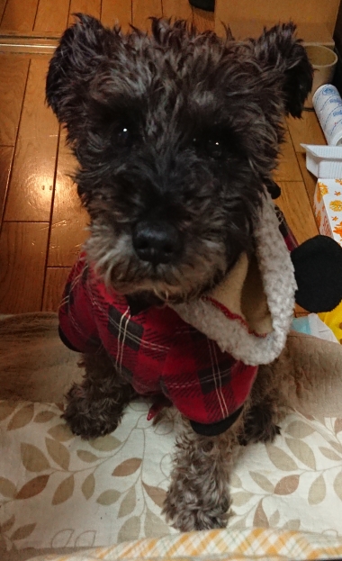 20181224_2174849.jpg