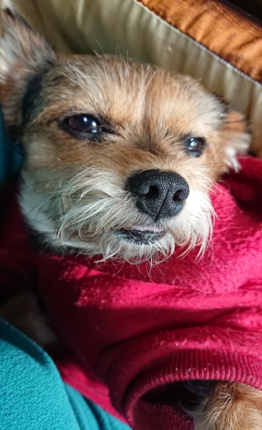 20190102_2182282.jpg
