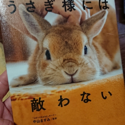 20190109_2187679.jpg