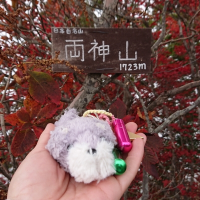 20190113_2191148.jpg