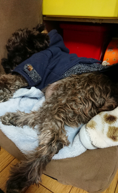 20190129_2204334.jpg