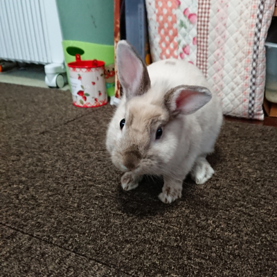 20190214_2216526.jpg