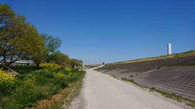 20190416_2270054.jpg
