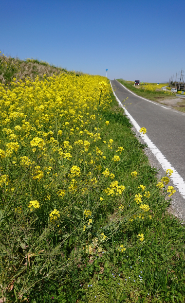 20190416_2270062.jpg