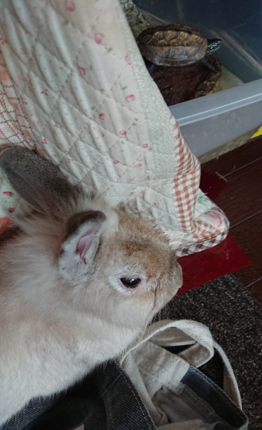 20190716_2338157.jpg