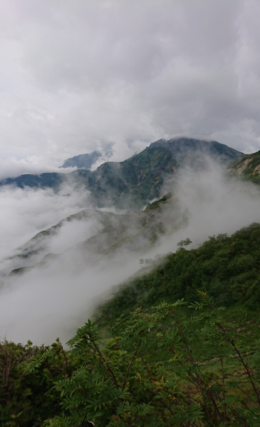 20190831_2359390.jpg