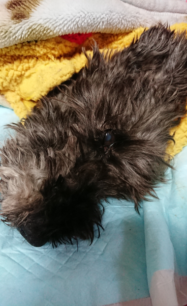 20191208_2406533.jpg