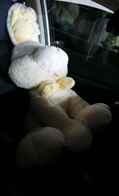 20200130_2430167.jpg