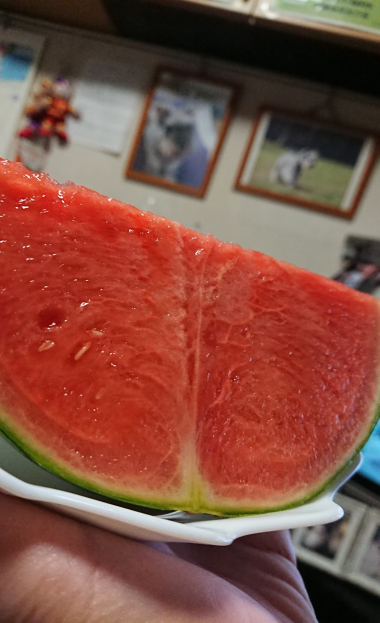 20200630_2493429.jpg