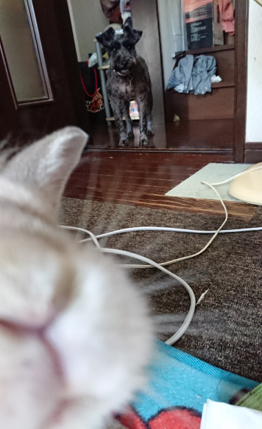 20200801_2506078.jpg