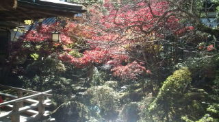 20111204101118.jpg