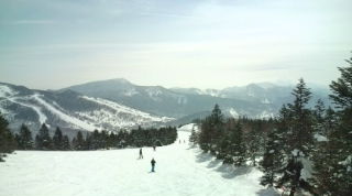 20120304130329.jpg