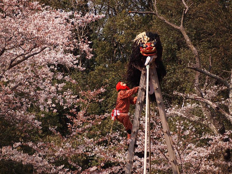 はしご獅子