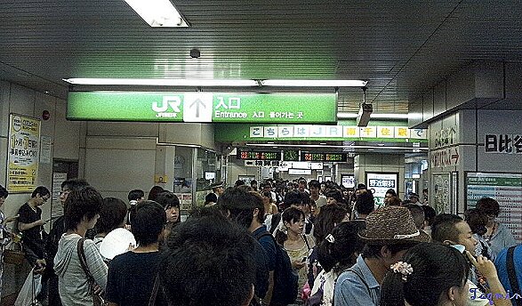 taq5703.jpg