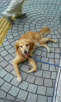 200809051724000.jpg