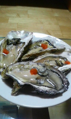 200809132127000.jpg