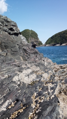 鹿島